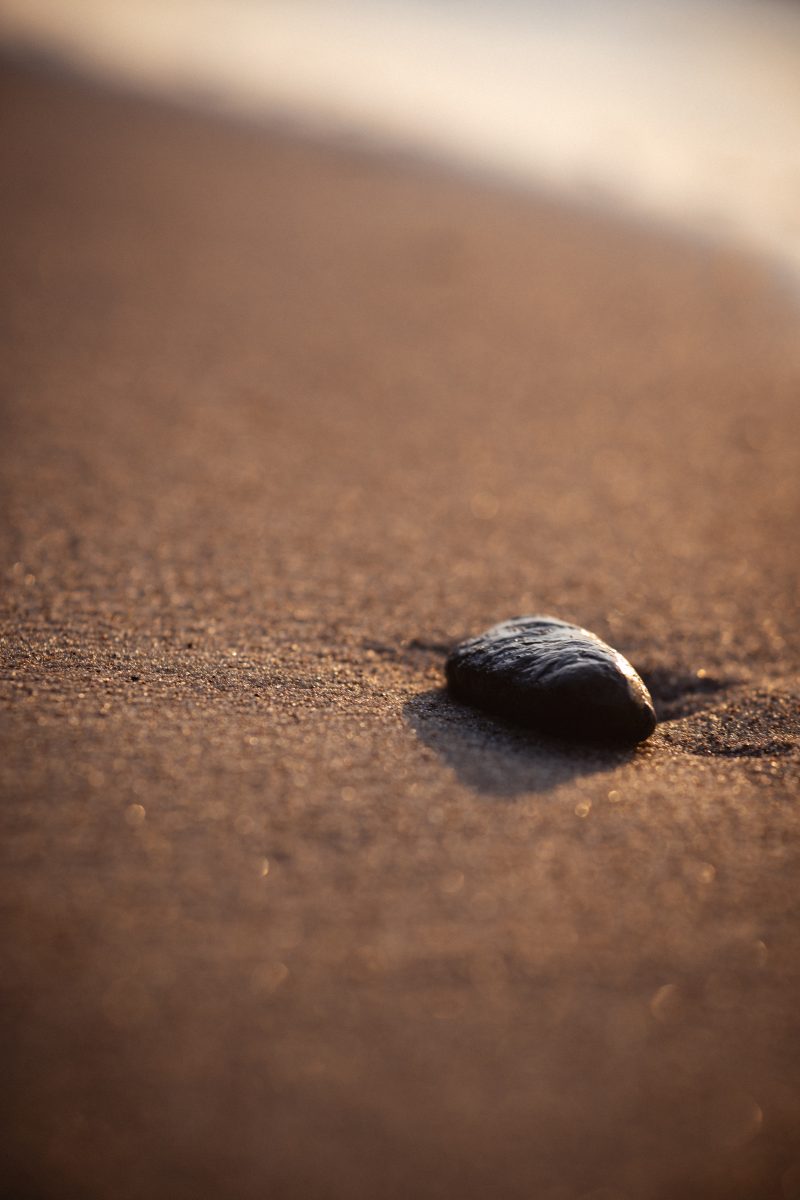 Kamień otoczak, leżący na wilgotnym piasku nad brzegiem morza.